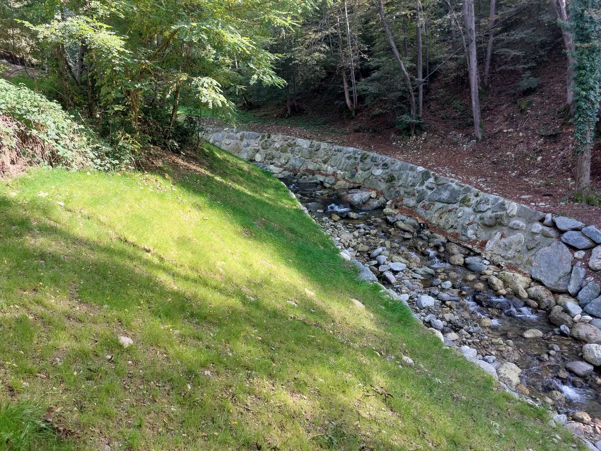 Interventi di tutela, riqualificazione e difesa del Torrente Pioverna nei Comuni di Ballabio e Cremeno e salvaguardia del patrimonio forestale mediante la realizzazione di opere ad uso antincendio in Comune di Introbio